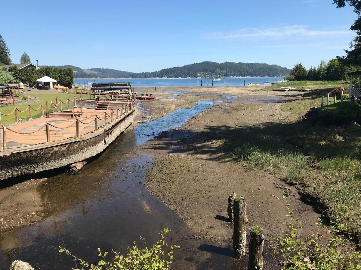 Waterwheel Cottage - 1 Bed 1 Bath Vacation Home In Union - thumb 21
