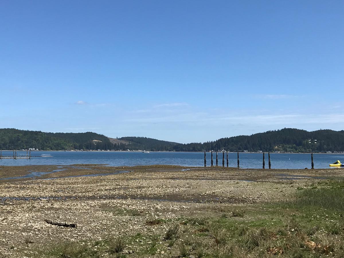 Waterwheel Cottage - 1 Bed 1 Bath Vacation Home In Union - thumb 7