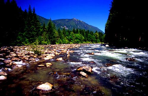 Luxurious Riverfront Log Home Estate - thumb 4