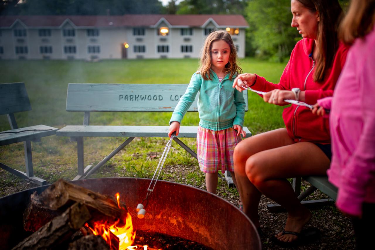 Parkwood Lodge - thumb 11