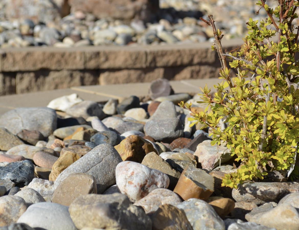 Sage Motel - thumb 5