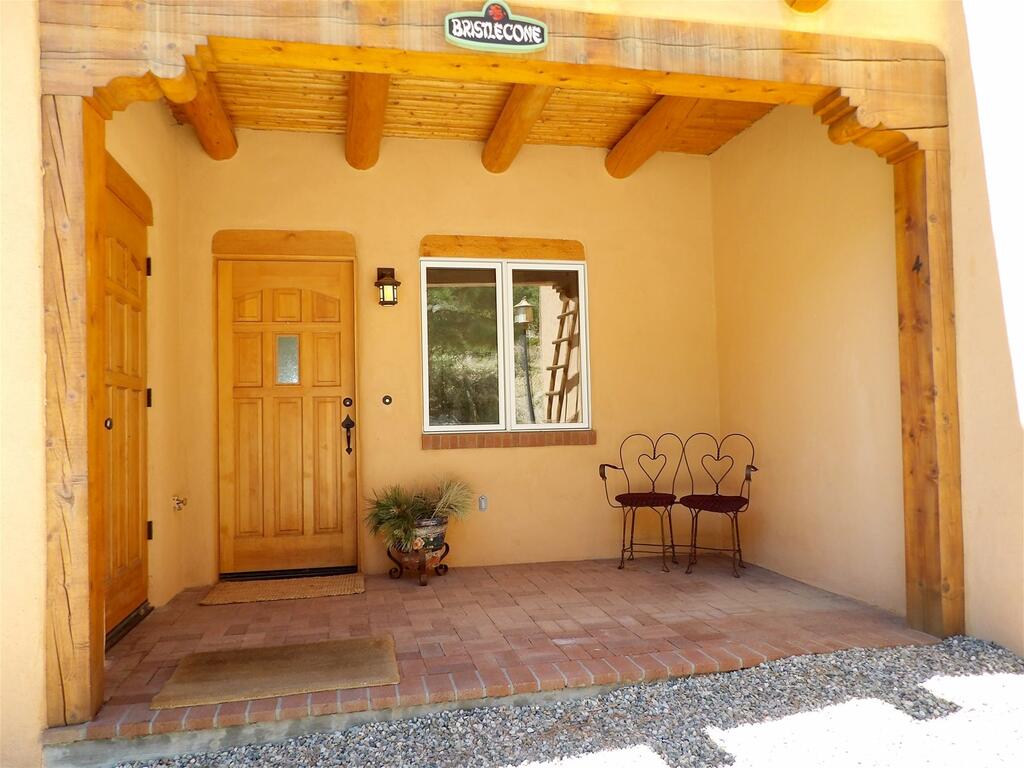 A Bella Vista Bristlecone - thumb 2