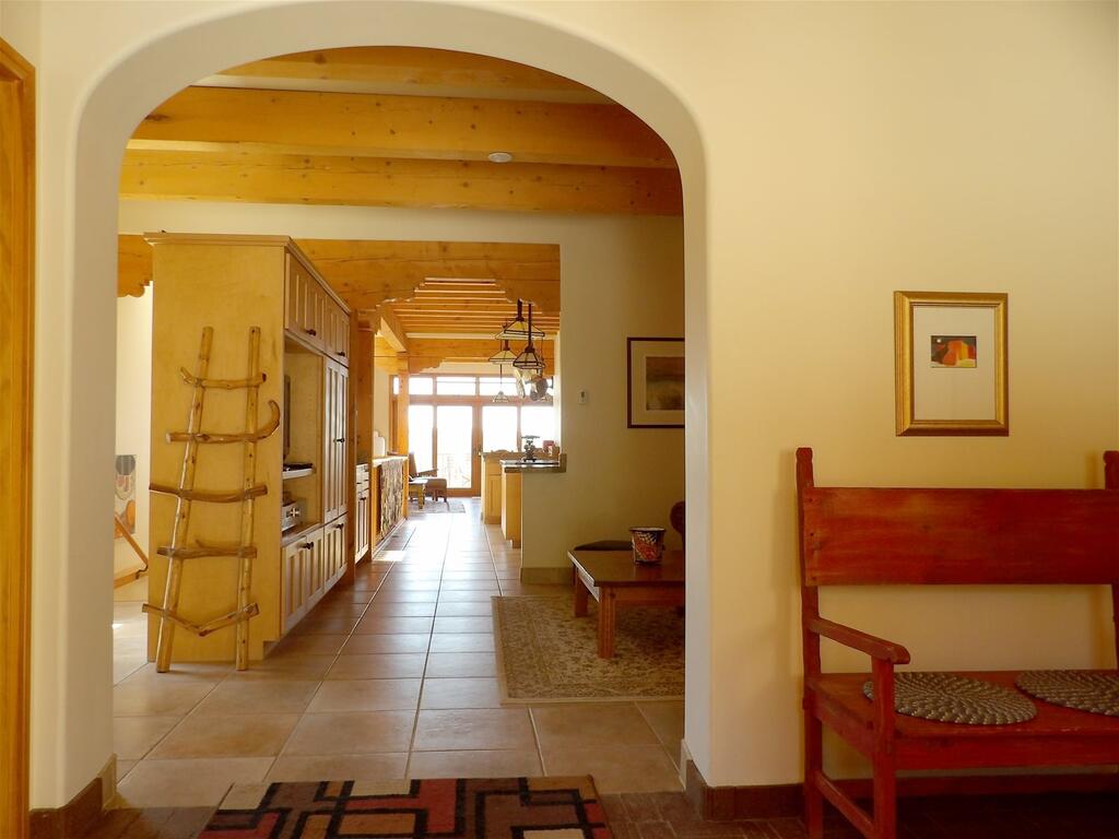 A Bella Vista Bristlecone - thumb 0