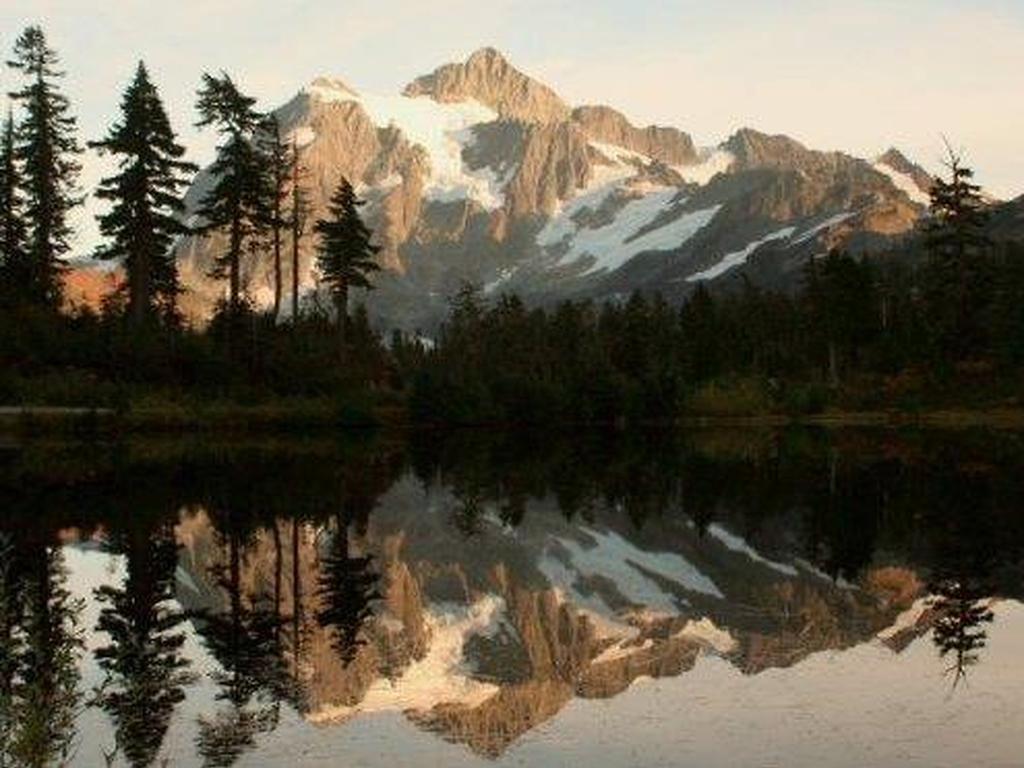 Apartment 41SW Condo W- Private Sauna - thumb 2