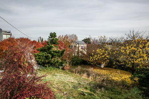 Arboretum View- Evergreen
