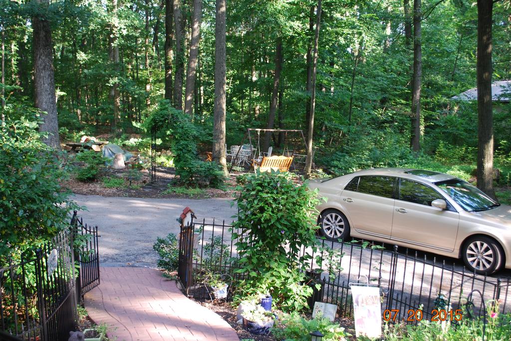 Bear House B&B - thumb 1