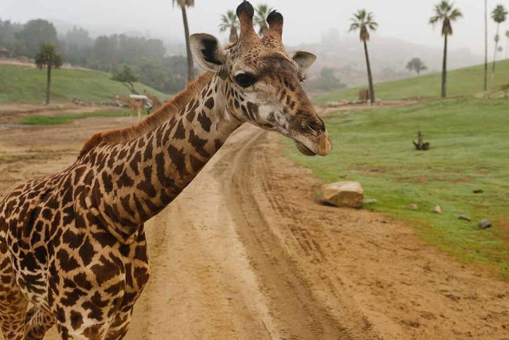 Casa Camino Modern Bungalow In The Heart Of Vista - thumb 2