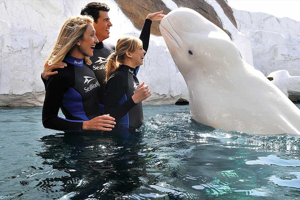 Casa Camino Modern Bungalow In The Heart Of Vista - thumb 1