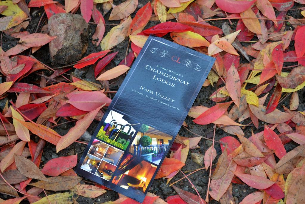 Chardonnay Lodge - thumb 0