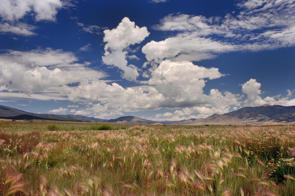 Charming Casa Verde At Lumina Gardens W/ Hot Tub Cottage - thumb 3