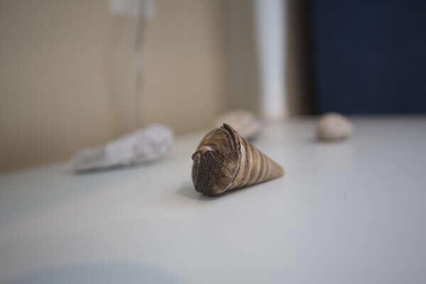 Gorgeous 2 Bedroom Lake View Condo - thumb 1