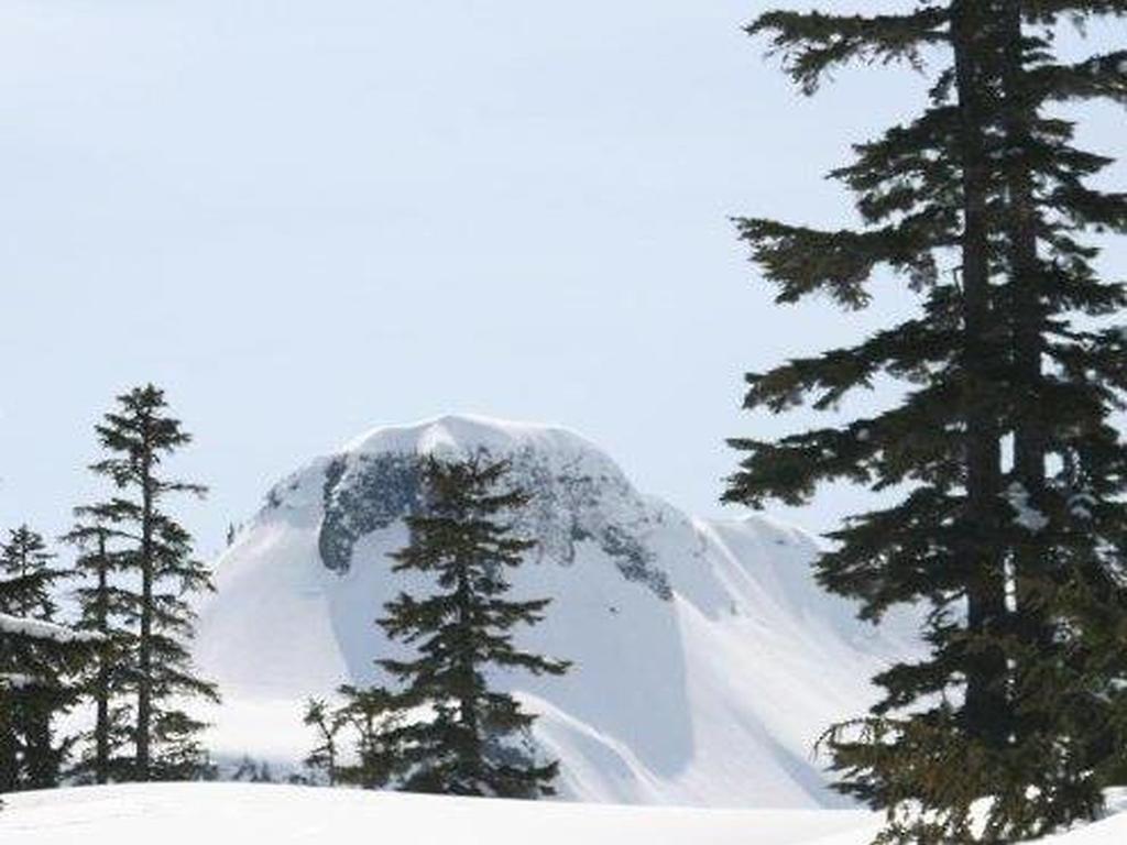 Holiday Home 95GS Pet Friendly Cabin W- Hot Tub - thumb 3