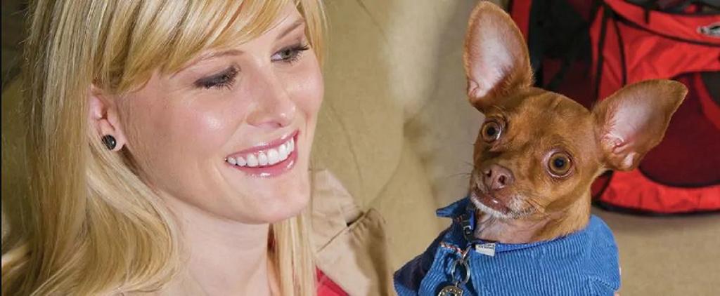 Home2 Suites By Hilton, Sarasota I-75 Bee Ridge, Fl - thumb 0