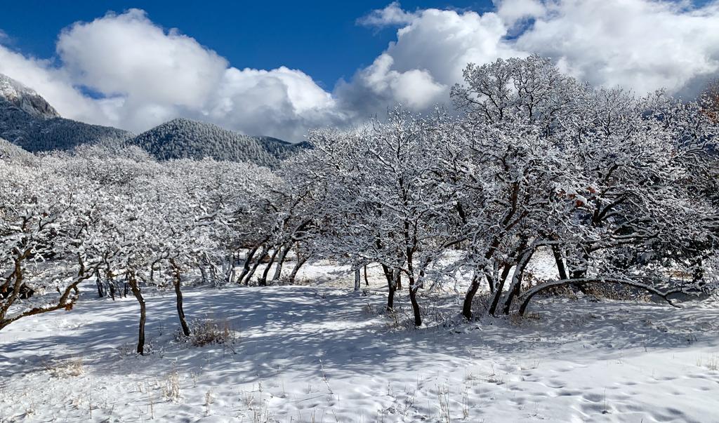 La Casita - A Writers Cottage - thumb 1