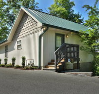 Pine Needles (#6) - Accommodation Seattle