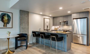 Seattle South Lake Water Views 30 Day Rentals