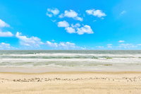  Accommodation Seattle