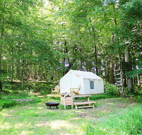 Tentrr - Birches: Woodsy Glamping Retreat near Chincoteague Island! - Accommodation Seattle