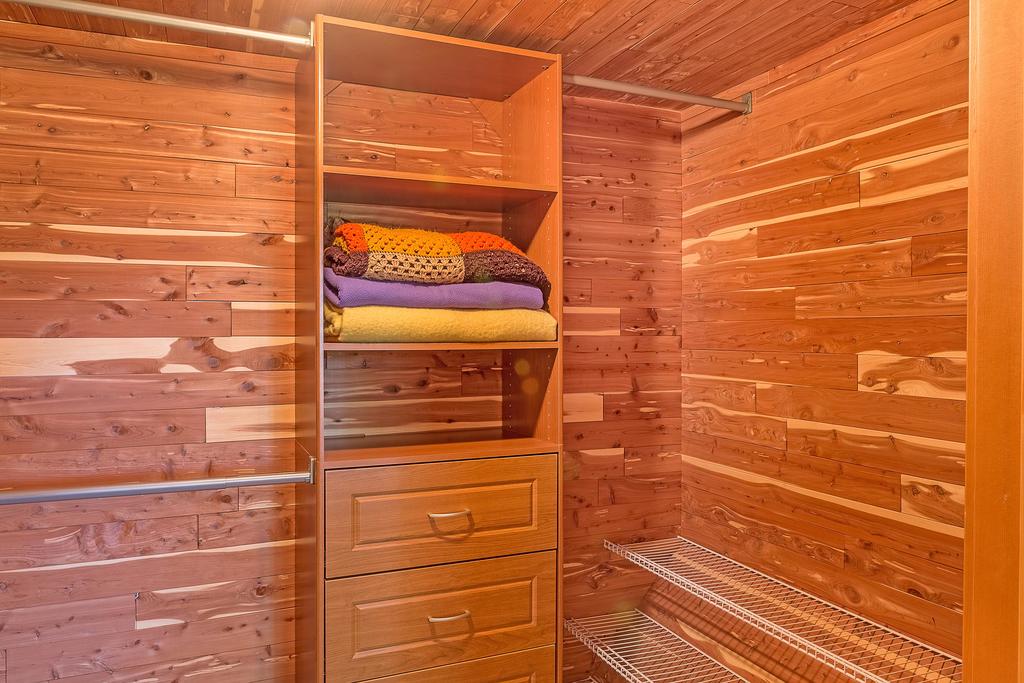 The Dragonfly Cabin - thumb 1