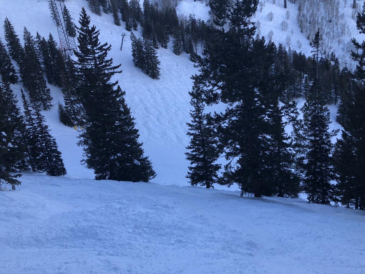 WP Bike And Ski - thumb 34