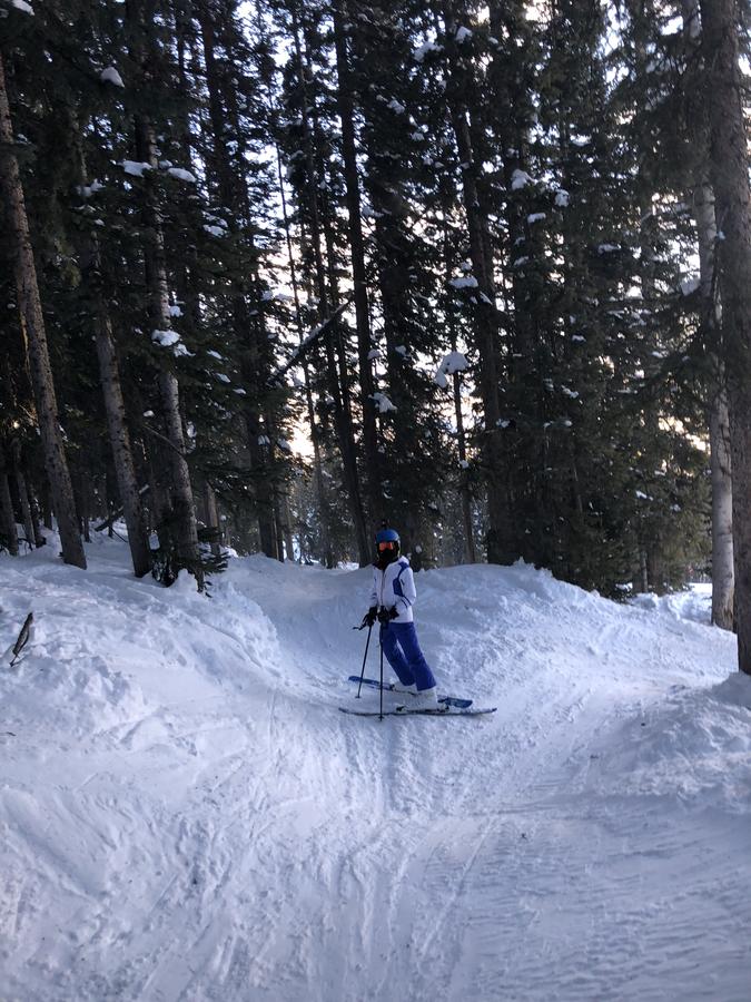 WP Bike And Ski - thumb 36