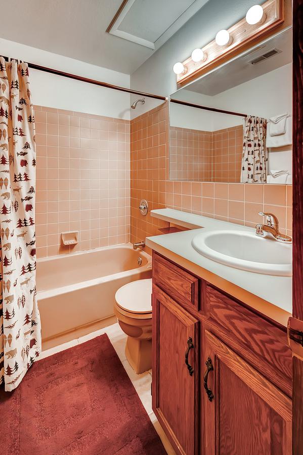 One-Bedroom Mountainside Condo D107 - thumb 8