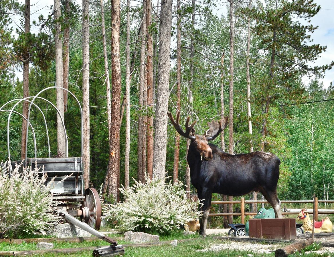 Daven Haven Lodge & Cabins - thumb 19