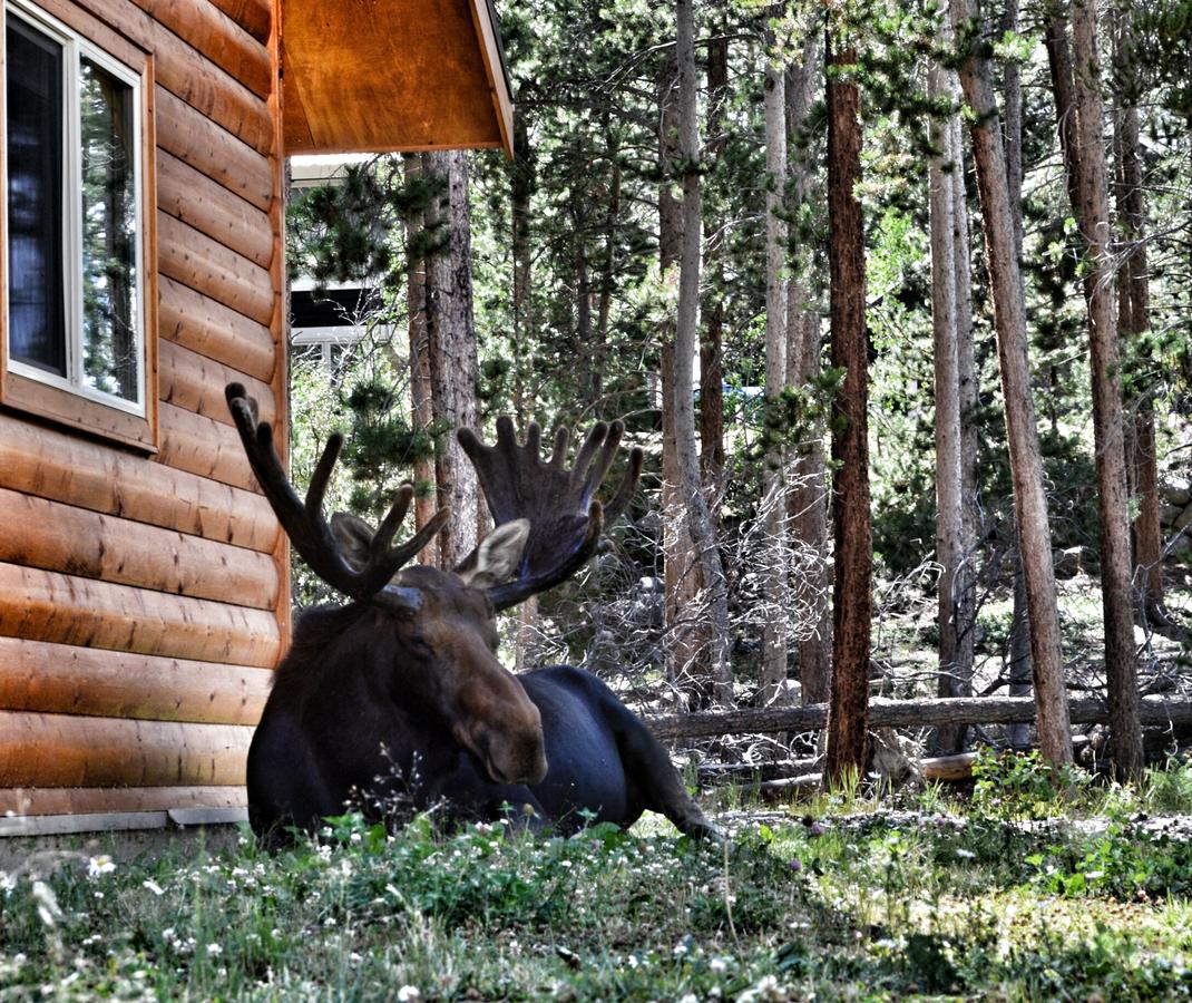 Daven Haven Lodge & Cabins - thumb 18