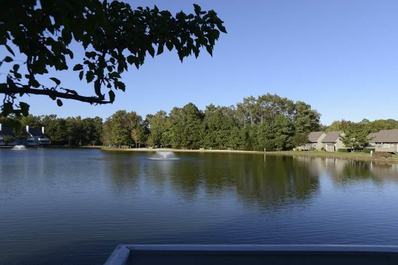 1004D Brighton View Condo - thumb 4