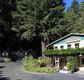 Fern Grove Cottages - Accommodation Seattle