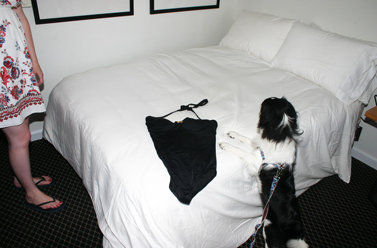 The Atlantic - thumb 4