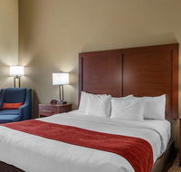 Comfort Inn  Suites - Accommodation Seattle