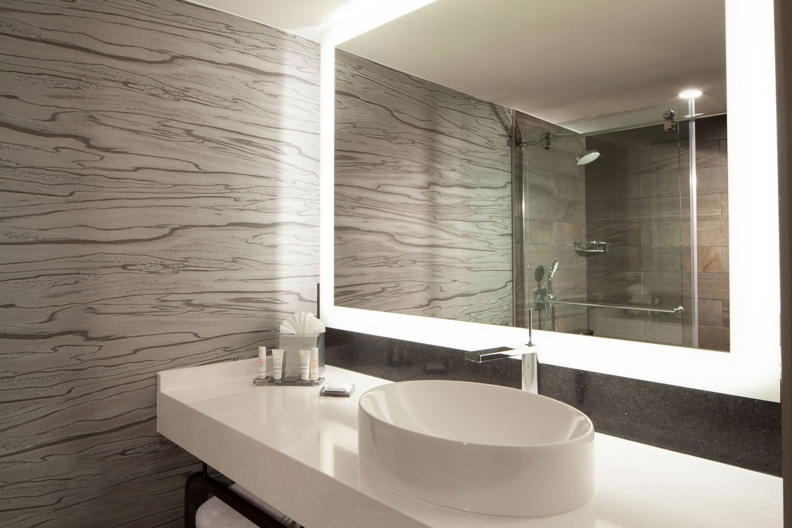 Dallas/Fort Worth Airport Marriott - thumb 3