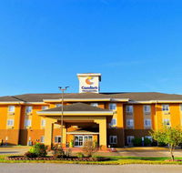 Comfort Inn  Suites - Accommodation Seattle
