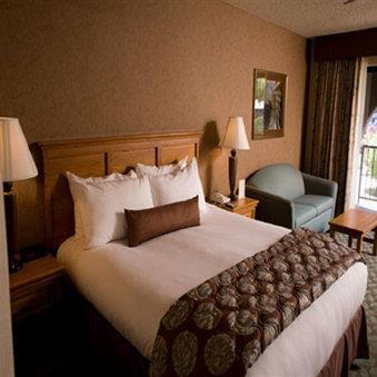 Borrego Springs Resort Golf Club & Spa - thumb 4