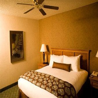 Borrego Springs Resort Golf Club & Spa - thumb 5