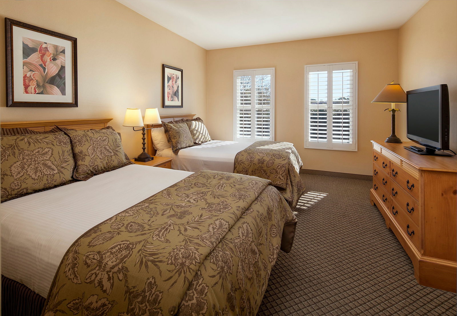 Pacifica Suites - thumb 2