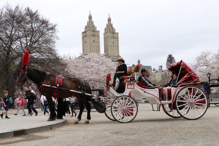 VIP Horse Carriage Ride Through Central Park In NYC With Photo Stops - thumb 3