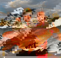 4-Hour Shared Big Game Deep Sea Fishing Charter in Fort Lauderdale - Accommodation Seattle