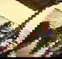 Rum Runner Bar Boat Tour of Key West - Accommodation Seattle