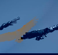 Grand Canyon Deluxe Day Trip from Sedona - Accommodation Seattle