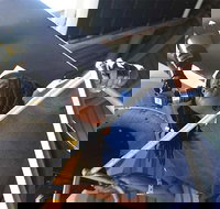 Chicago CityPASS - Accommodation Seattle