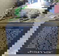 Downtown Nashville Guided Sightseeing Walking Tour - Accommodation Seattle