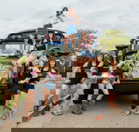 Nashville's Private Roofless Party Bus Experience - Accommodation Seattle