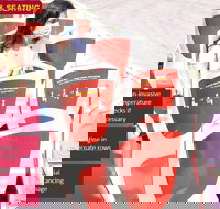 Big Bus Chicago Hop-On Hop-Off Tour - Accommodation Seattle