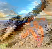 Helicopter Tour of the North Canyon with Optional Hummer Excursion - Accommodation Seattle