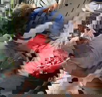 Fort Lauderdale Sailing Charter - Accommodation Seattle