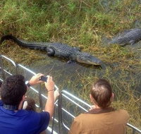 Everglades Tour in Miami - Accommodation Seattle