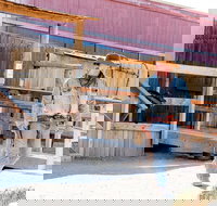 Grand Canyon West Admission Ticket - Accommodation Seattle