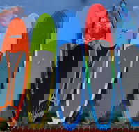 Island City ECO Paddle  Lesson Explores Nature Preserve Tropical Wild Life - Accommodation Seattle